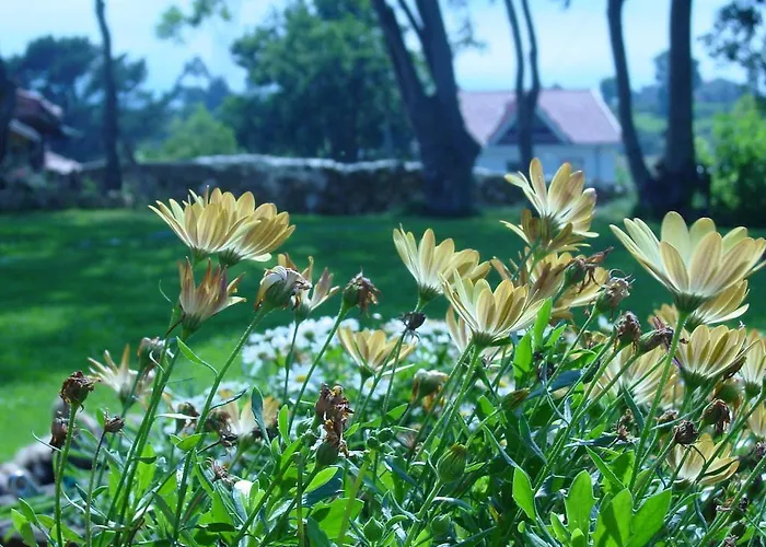 Rural בית הארחה